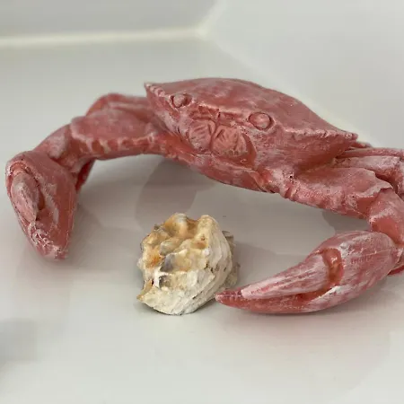 Am Schloss Apartman Brühl