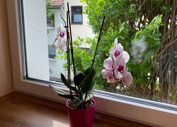 Am Schloss Appartamento